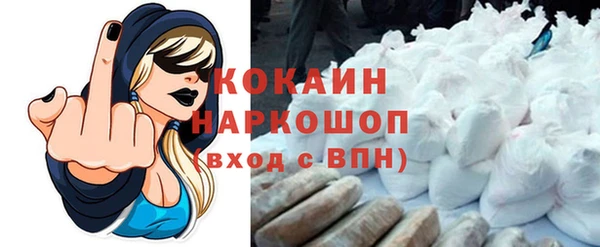 индика Арсеньев