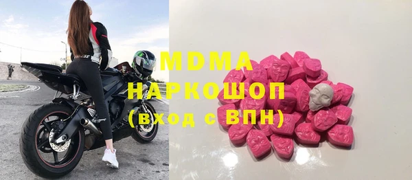 индика Арсеньев