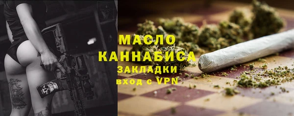 индика Арсеньев