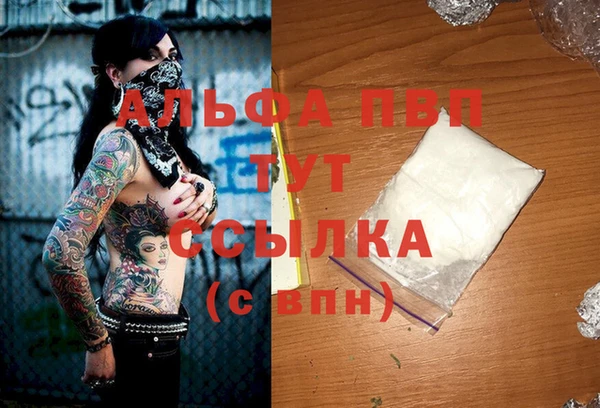 индика Арсеньев