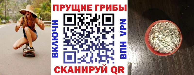 Галлюциногенные грибы мухоморы где найти наркотики Отрадная